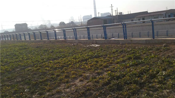 上海不锈钢河道护栏